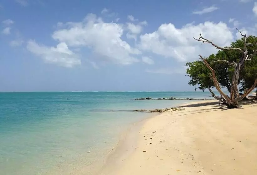 Fish Tobago Guesthouse