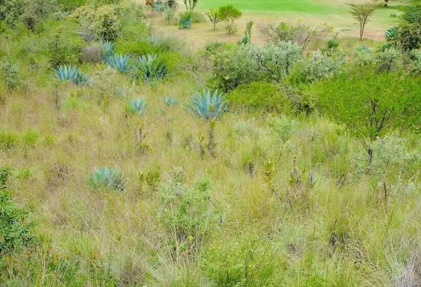 The Great Rift Valley Lodge & Golf Resort