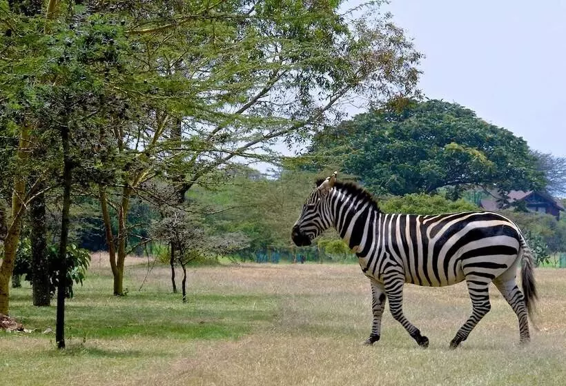 The Great Rift Valley Lodge & Golf Resort