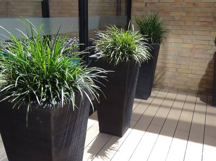 בית מלון כפרי Bh Parque 93