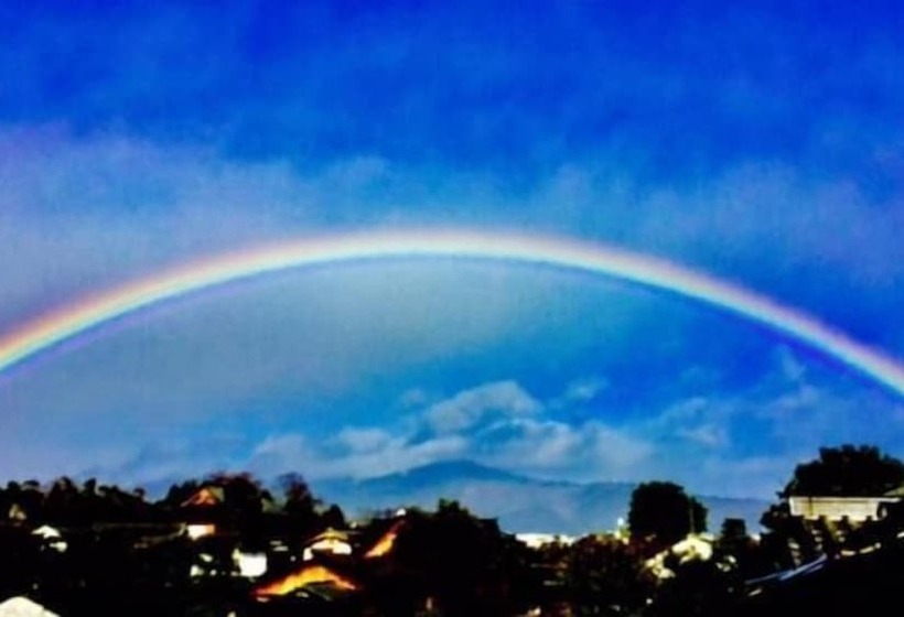 酒店 International Guest House Tani House