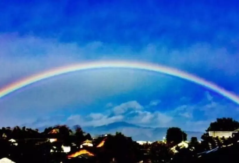 酒店 International Guest House Tani House