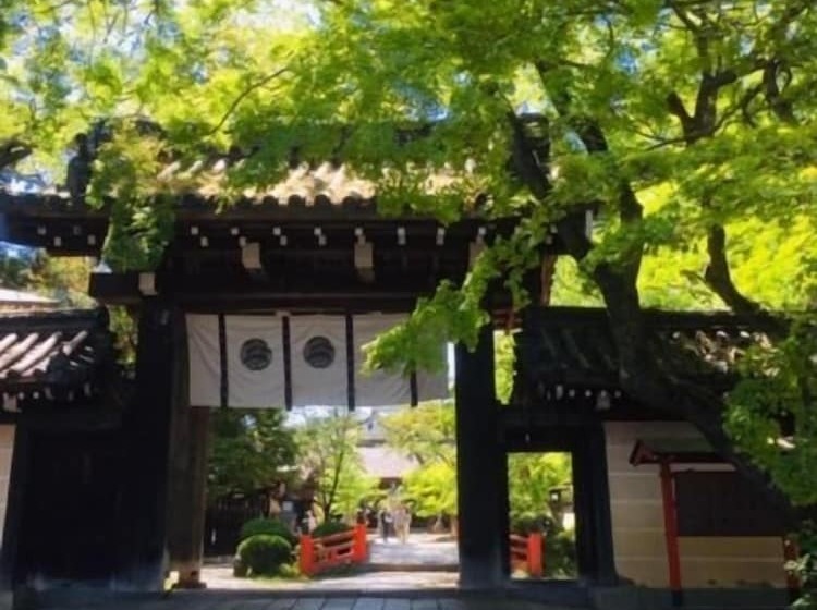 酒店 International Guest House Tani House