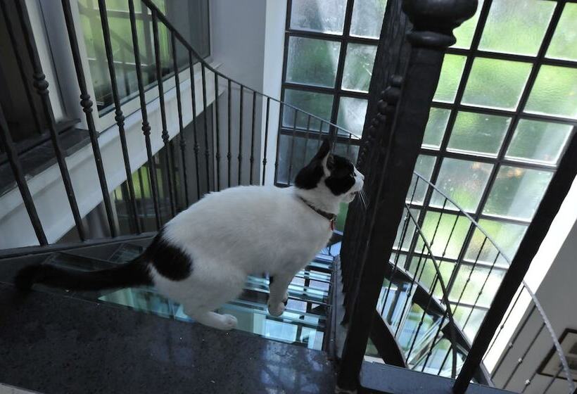 호텔 Rivoli Sorrento