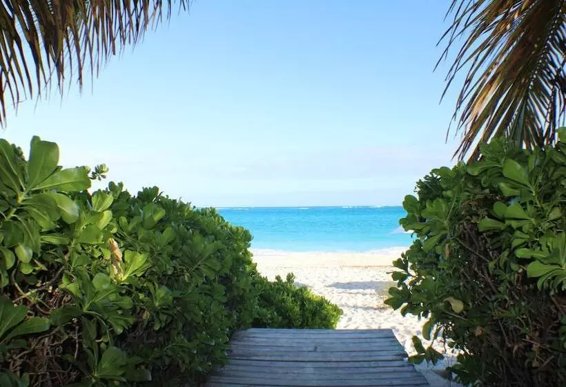 Hotel The All New Grace Bay Suites