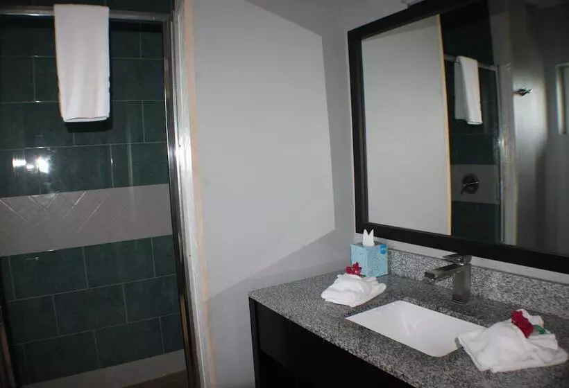 Hotel The All New Grace Bay Suites