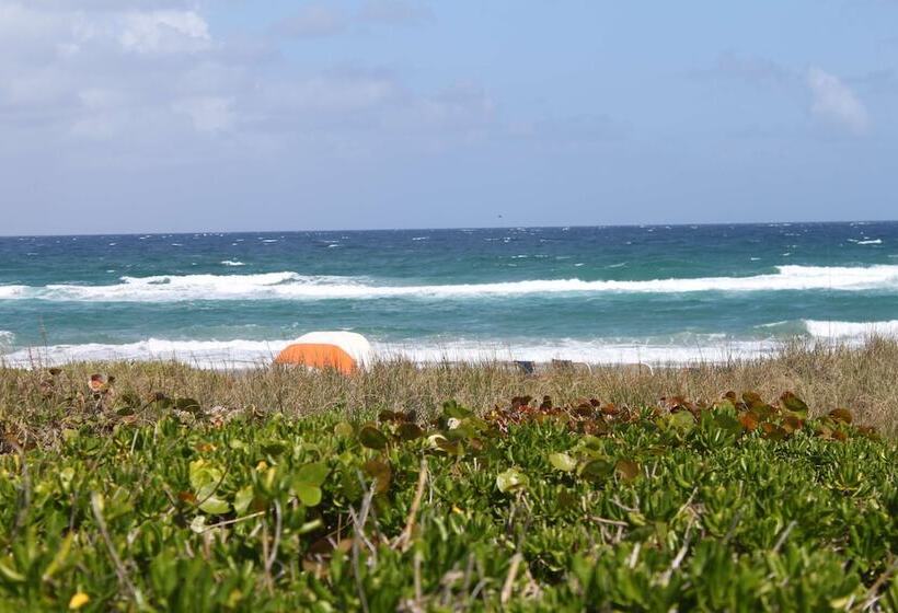 渡假胜地  Delray Breakers On The Ocean