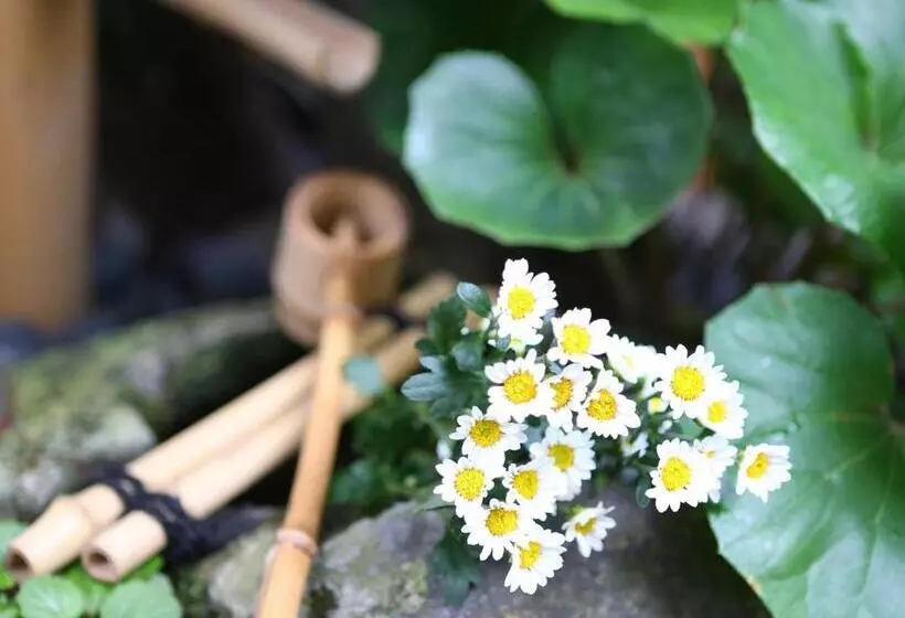 Ryokan Kamogawa Asakusa