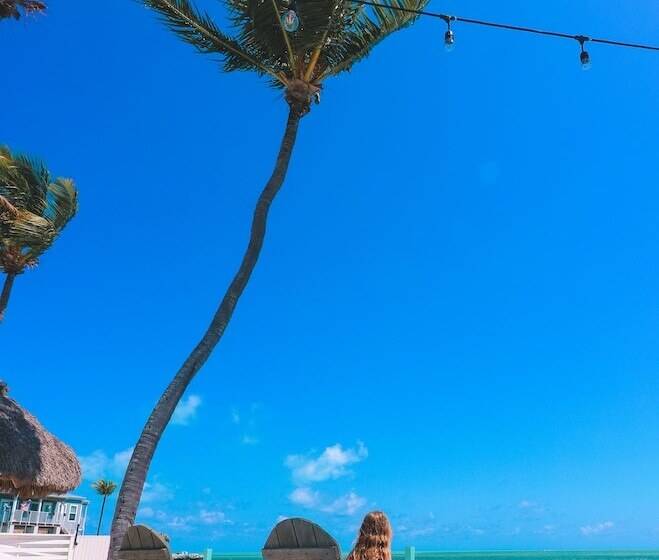 Drop Anchor Resort & Marina