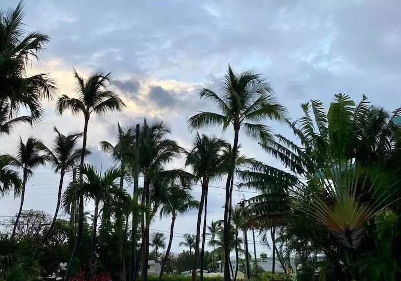 Drop Anchor Resort & Marina