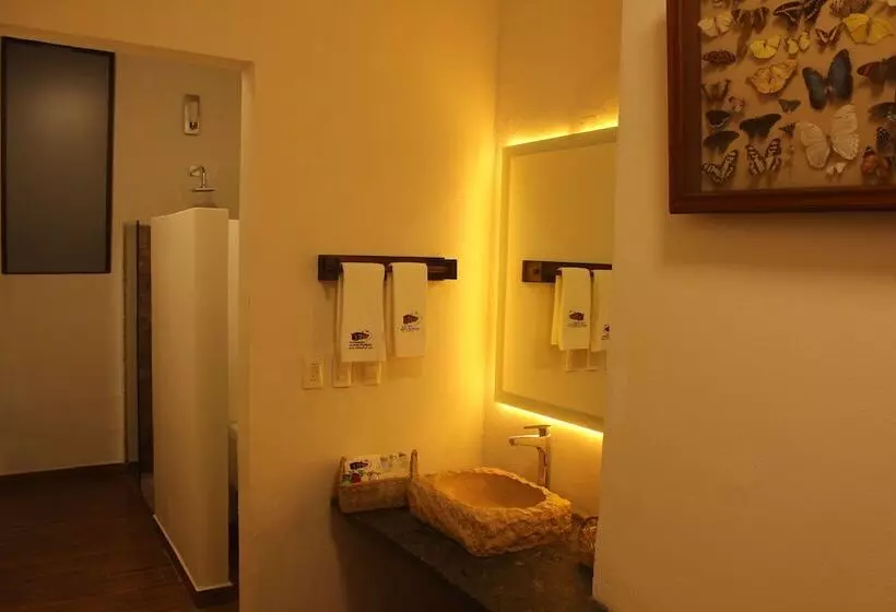 ホテル Boutique La Casona De Don Porfirio