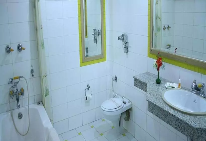 فندق Shingar Regency