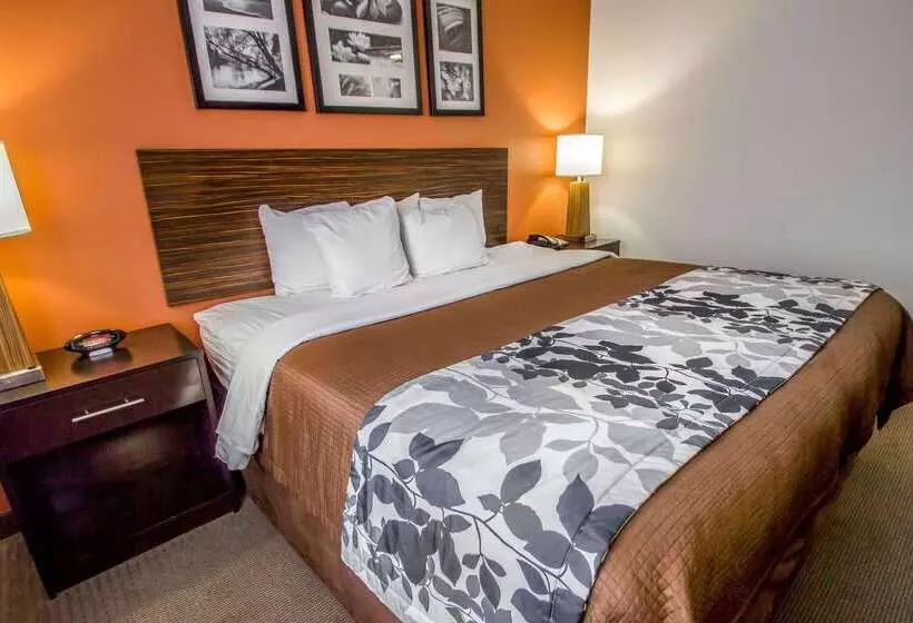 ホテル Sleep Inn Jfk Airport Rockaway Blvd