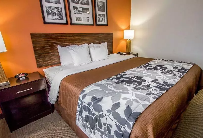 ホテル Sleep Inn Jfk Airport Rockaway Blvd