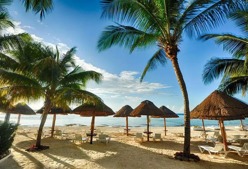 Grand Oasis Viva Resort - Adults Only