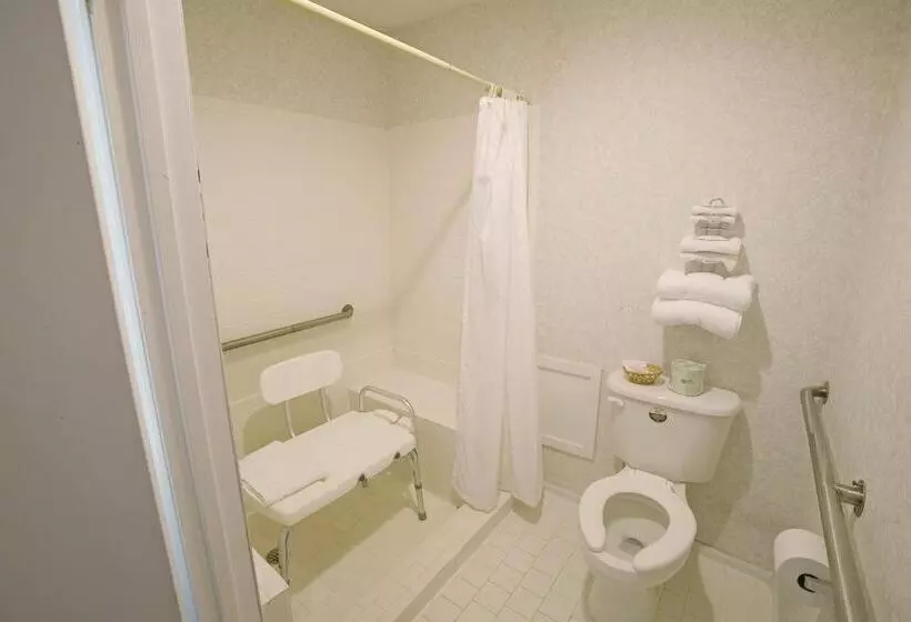 酒店 Americas Best Value Inn Jonesville