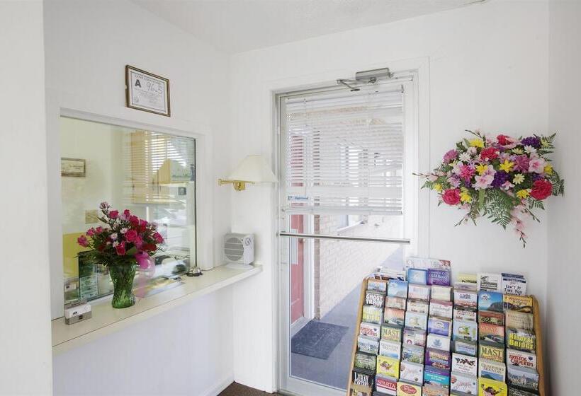 酒店 Americas Best Value Inn Jonesville