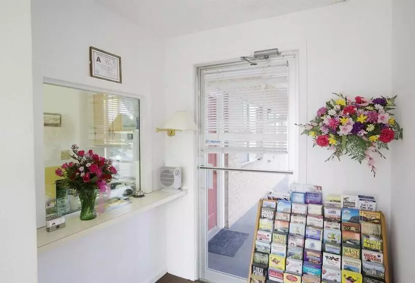 酒店 Americas Best Value Inn Jonesville