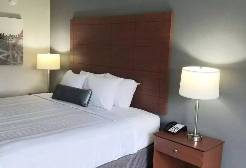 هتل Best Western Lexington Inn