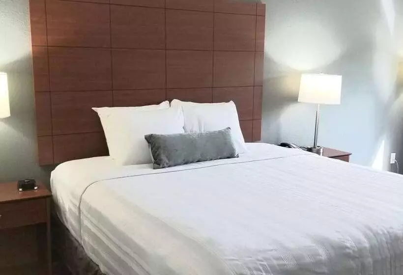 هتل Best Western Lexington Inn