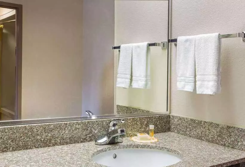 酒店 Days Inn By Wyndham Panama City/callaway