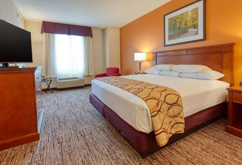 ホテル Drury Inn & Suites Indianapolis Northeast