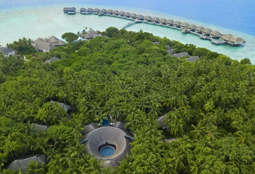 Hotel Dusit Thani Maldives