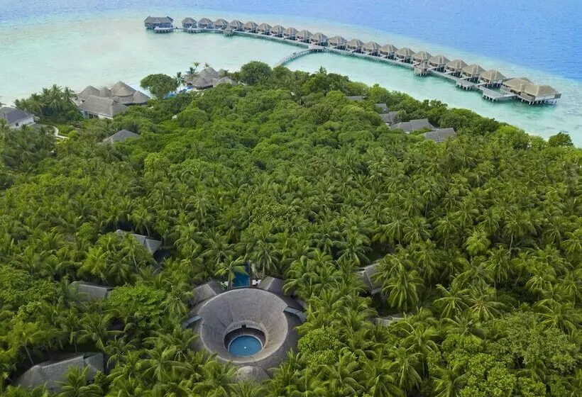 هتل Dusit Thani Maldives