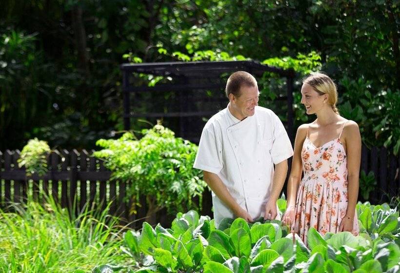 Hotel Dusit Thani Maldives