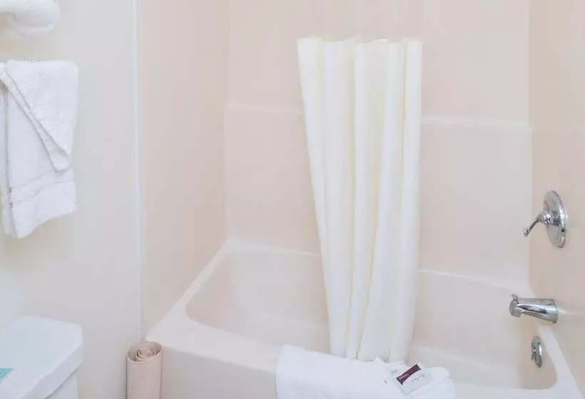 Hotel Red Carpet Inn Pulaski