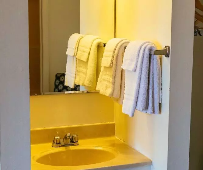 Hotel Red Carpet Inn Pulaski