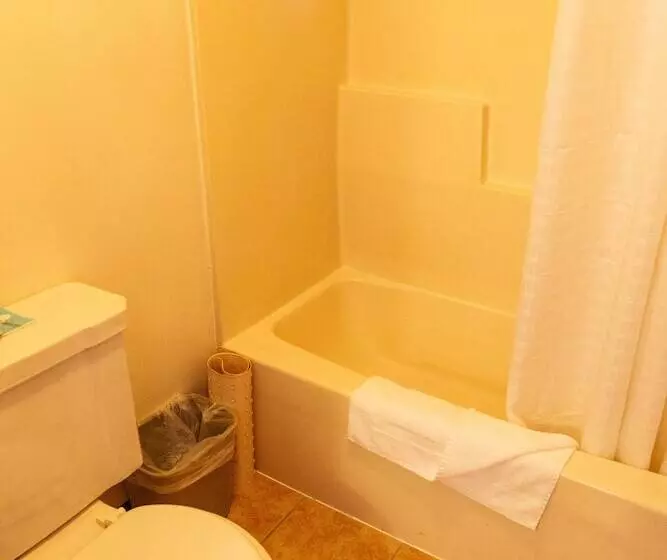 Hotel Red Carpet Inn Pulaski