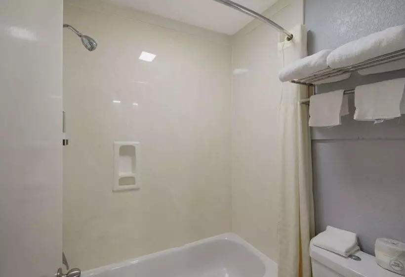 酒店 Americas Best Value Inn Buda