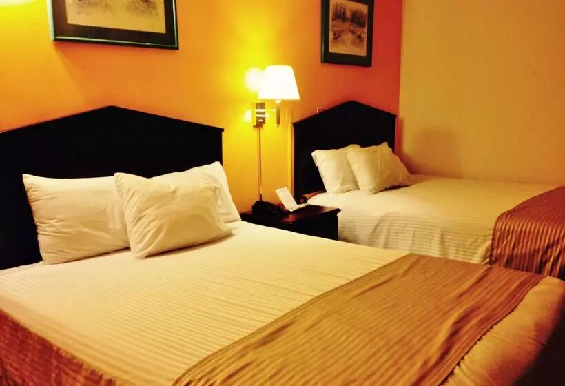 酒店 Americas Best Value Inn Macomb