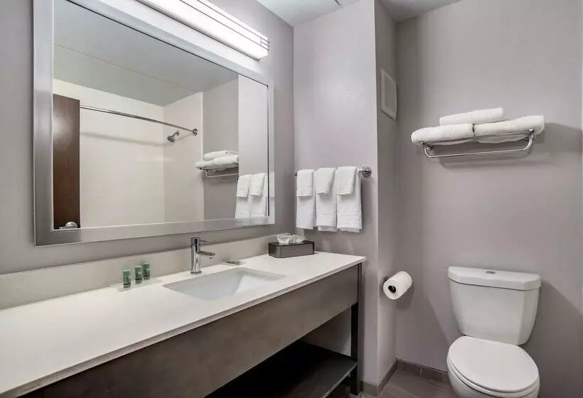 Отель Best Western Brewton Inn