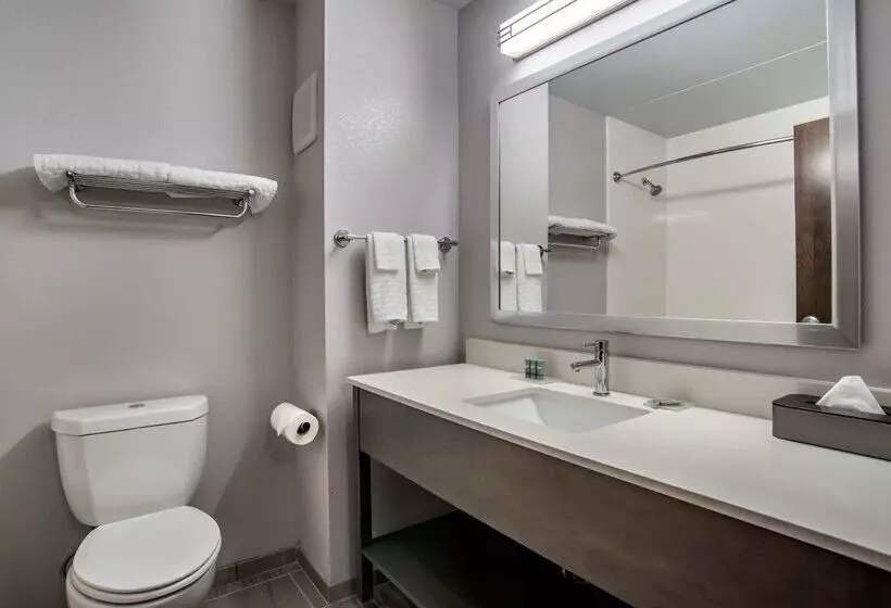 Отель Best Western Brewton Inn