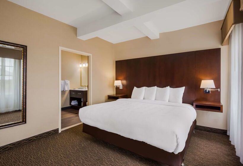 Best Western Syracuse Downtown Hotel And Suites