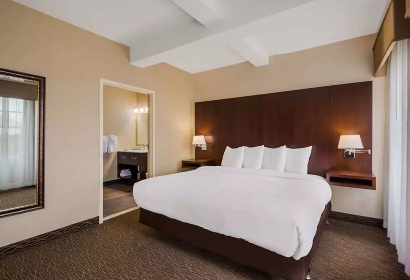 Best Western Syracuse Downtown Hotel And Suites