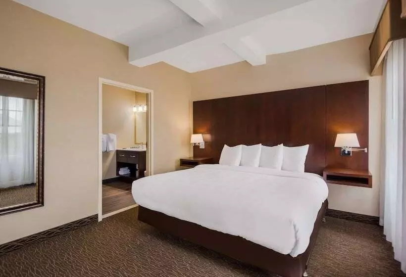 Best Western Syracuse Downtown Hotel And Suites