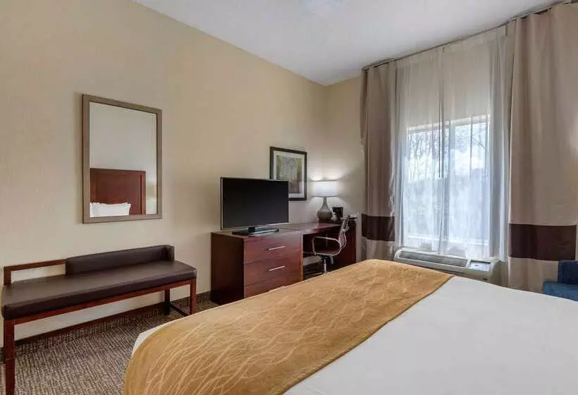 בית מלון כפרי Comfort Inn & Suites