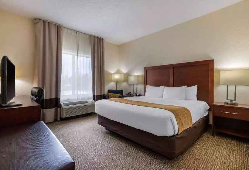 בית מלון כפרי Comfort Inn & Suites