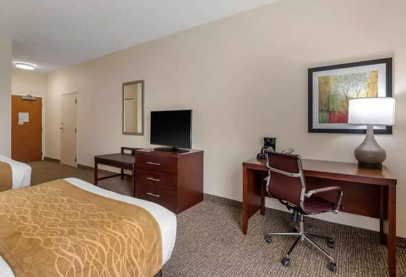 בית מלון כפרי Comfort Inn & Suites