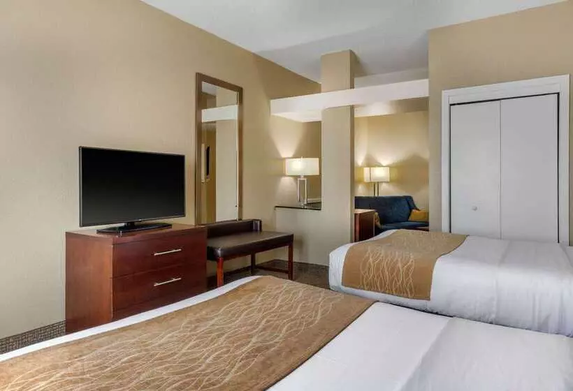 בית מלון כפרי Comfort Inn & Suites