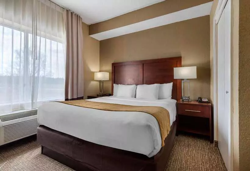בית מלון כפרי Comfort Inn & Suites