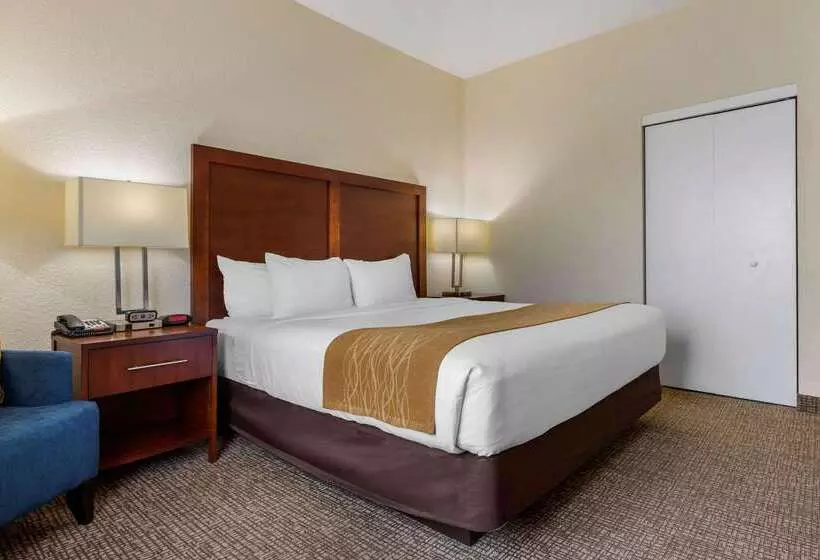 בית מלון כפרי Comfort Inn & Suites