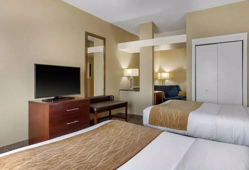 בית מלון כפרי Comfort Inn & Suites