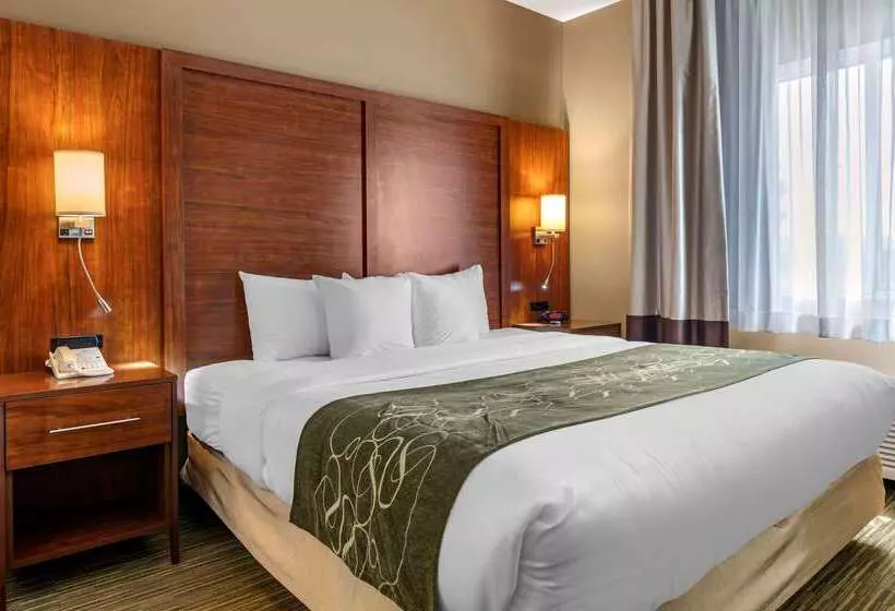 فندق Comfort Suites North