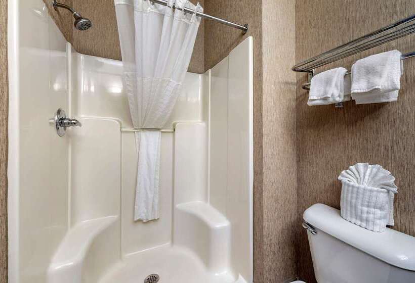 בית מלון כפרי Comfort Suites North