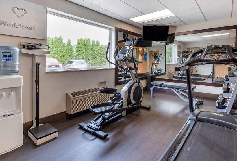 בית מלון כפרי Comfort Suites North