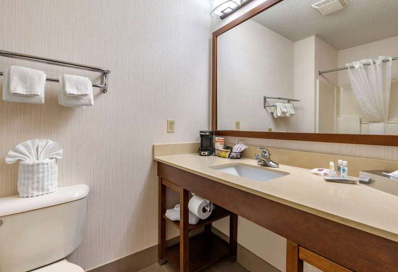 בית מלון כפרי Comfort Suites North